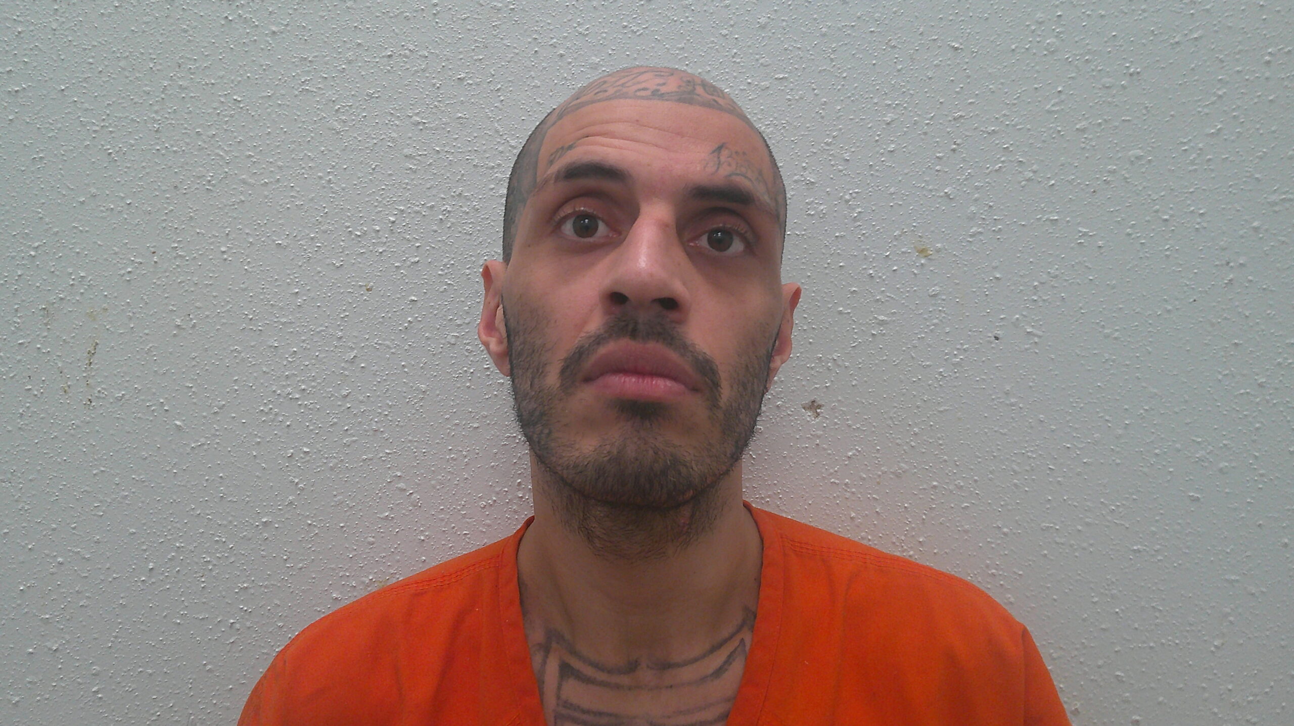 GARZES, JULIO booking photo