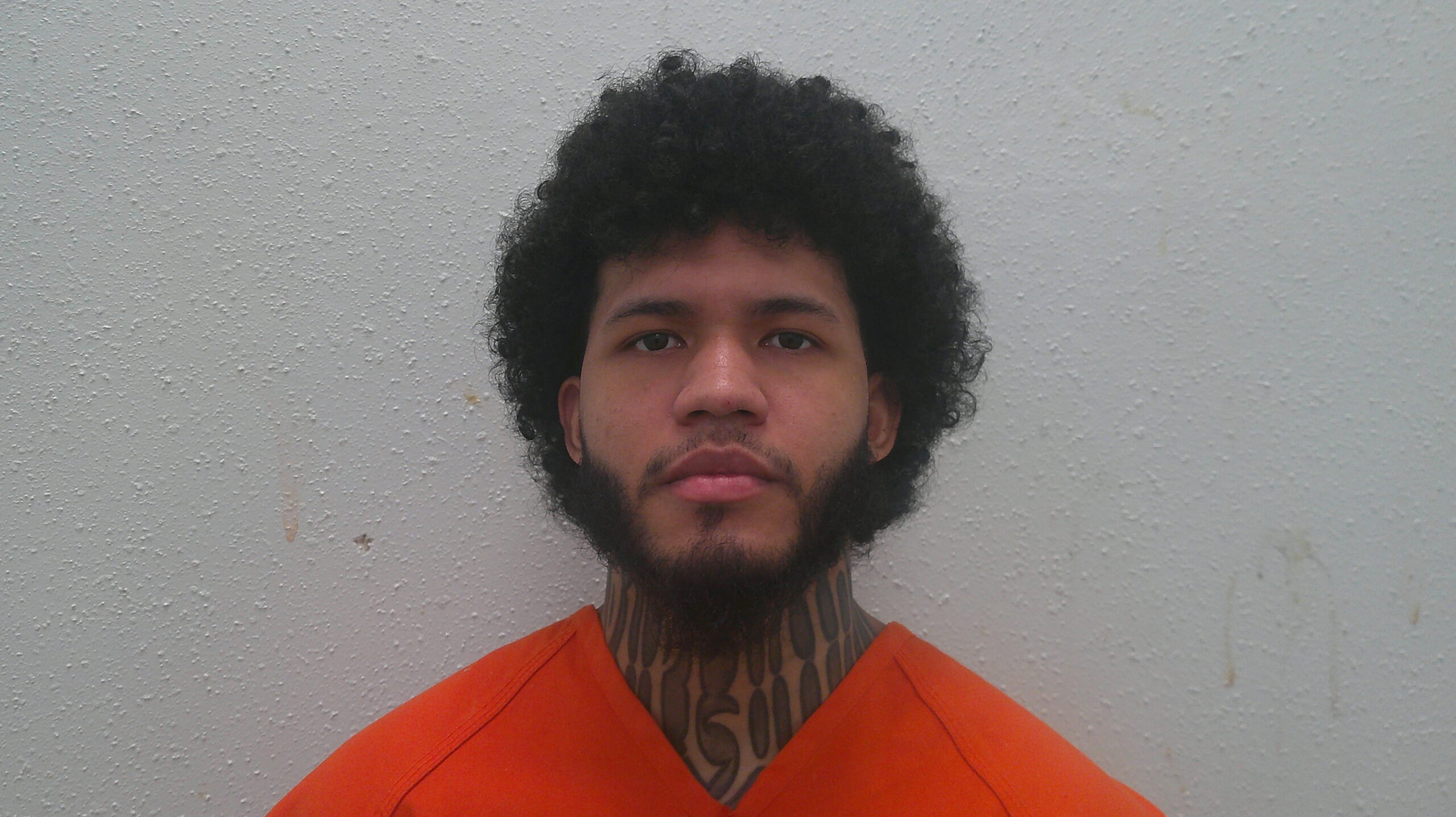 FERRER CABRERA, ALBERTO RAFAEL booking photo