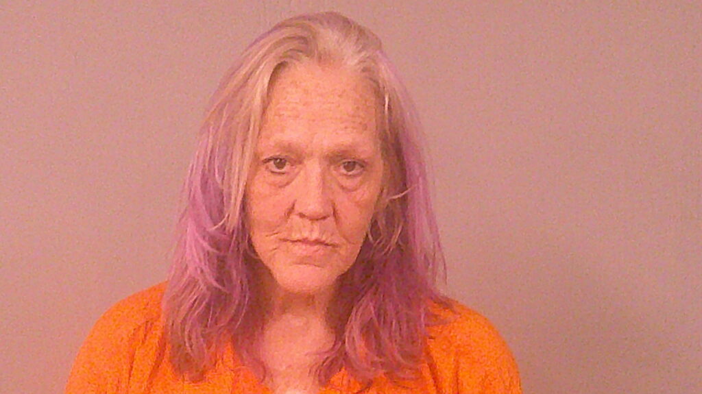 DALTON, DONNA KAY arrested in Burnet County, Texas mugshot