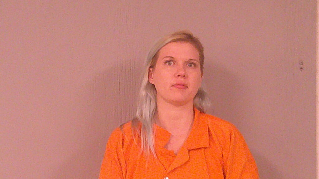 SCHULTZ, MELISSA JOANNE arrested in Burnet County, Texas mugshot
