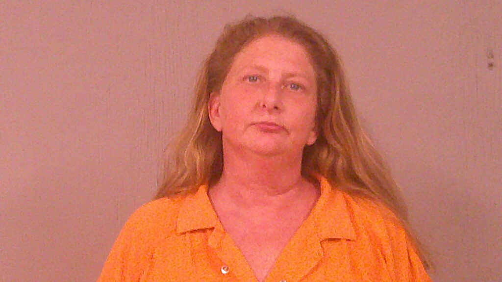GHILAIN, RISA ANN arrested in Burnet County, Texas mugshot