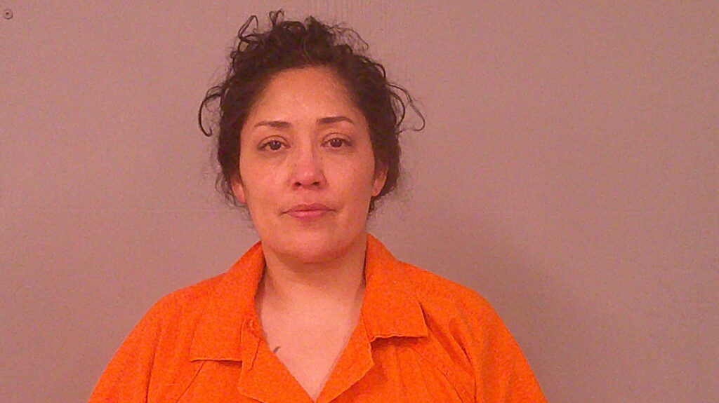 ROBLES, MELANIE GALE arrested in Burnet County, Texas mugshot