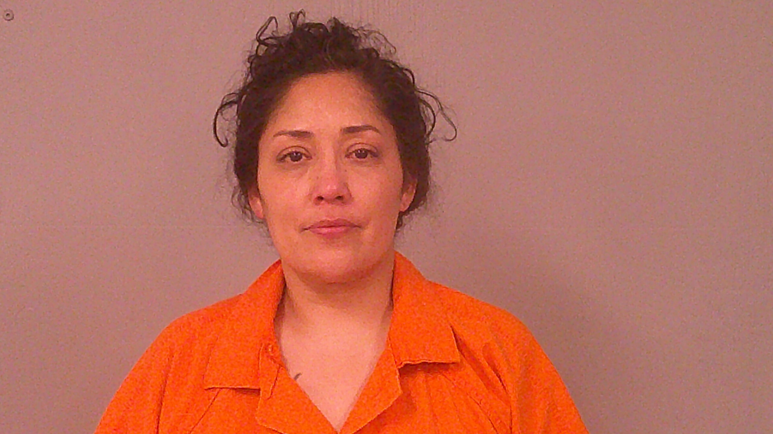 ROBLES, MELANIE GALE booking photo