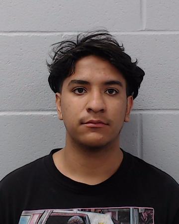 Llanos, David Anthony booking photo