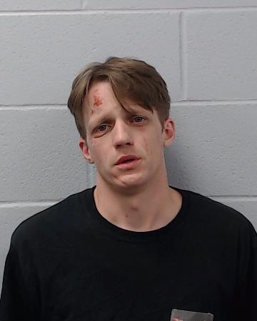 McReynolds, Mikhail booking photo