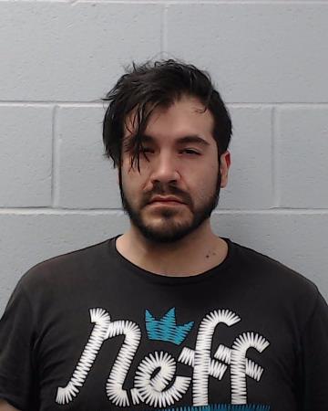 Reyes, Ryan Domingo booking photo