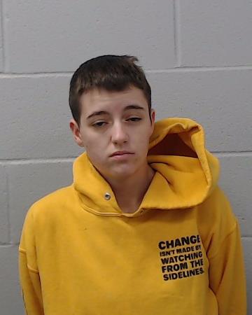 Laidley, Cassie Christine booking photo