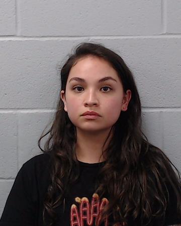 Skenandore, Sylvia Lauren booking photo