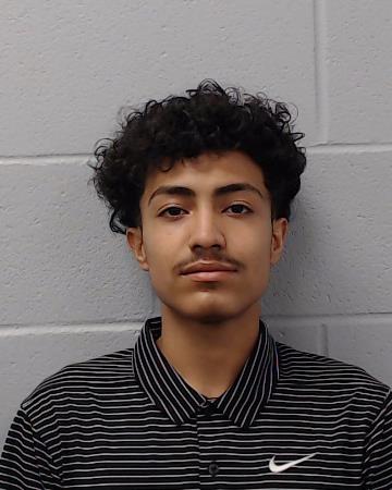 Melendez, Andree Israel booking photo