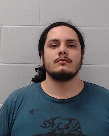 Roa, Esteban Ulrich booking photo
