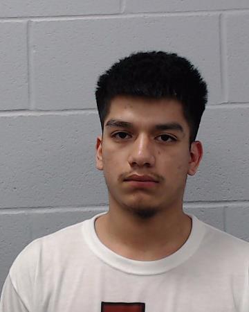 Salinas, Miguel Angel booking photo