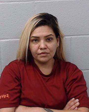 Vasquez, Denise Ann booking photo