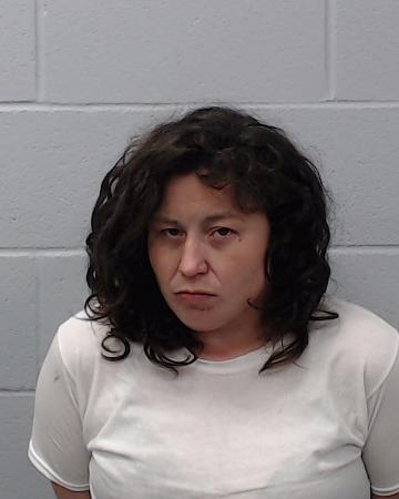 Earnest, Lynsie Nicole booking photo