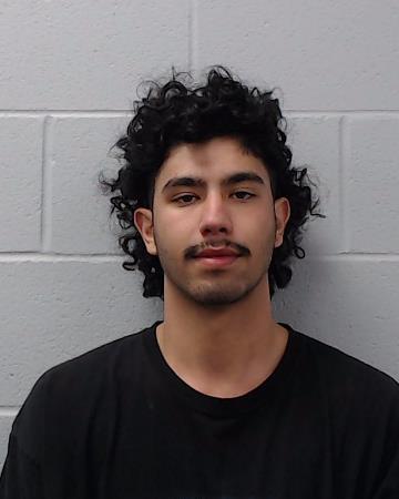 Ortiz Candela, Sebastian booking photo