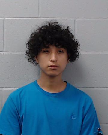 Alvarez-Diaz, Yahir booking photo