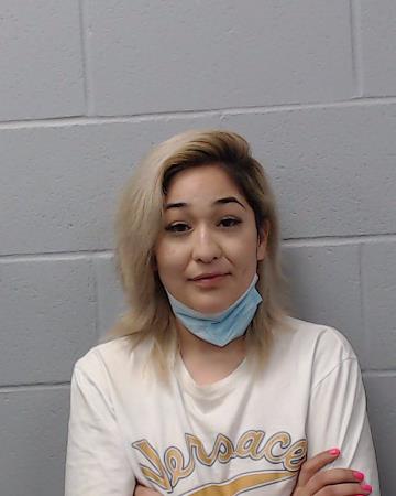 Idrogo, Aleksandra booking photo