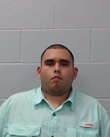 Castillo, Jorge, Jr. booking photo