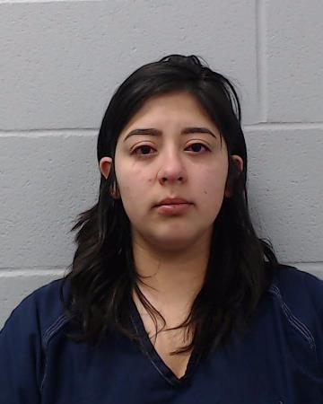 galvan, Alexis Marie booking photo
