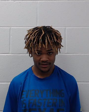 Johnson, Trelon Terrell booking photo