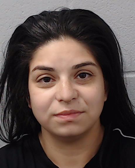 Godina, Desiree Nicole booking photo