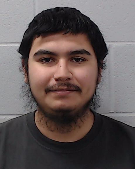 Pizana Hernandez, Luis, Jr. booking photo