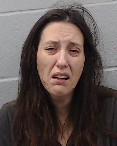 Housley, Lisa Ruth booking photo
