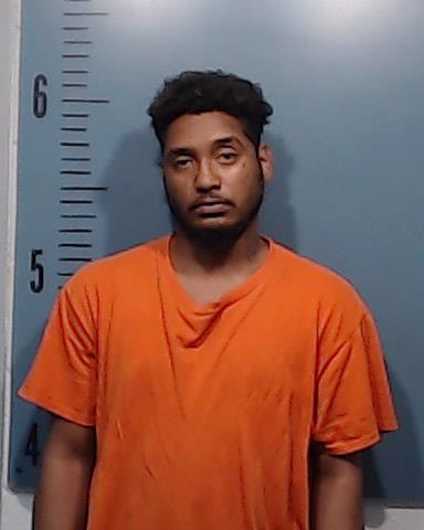 Word, Bryan Timothy booking photo