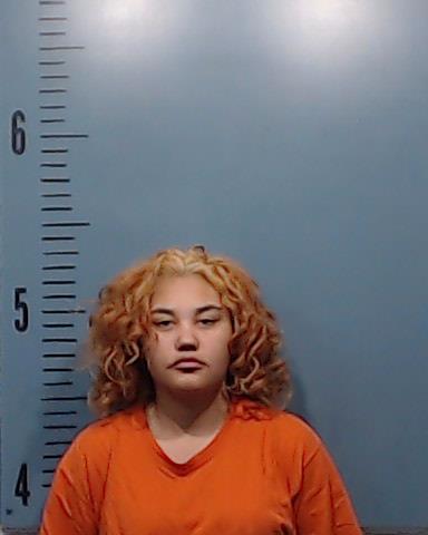 Valdez, Gabriella Tara arrested by Taylor County SO/PD