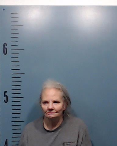 Perez, Leslie Kay arrested by Taylor County SO/PD