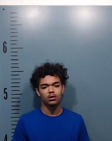 Greene, Jeremiah Trayshawn Tremale arrested by Taylor County SO/PD
