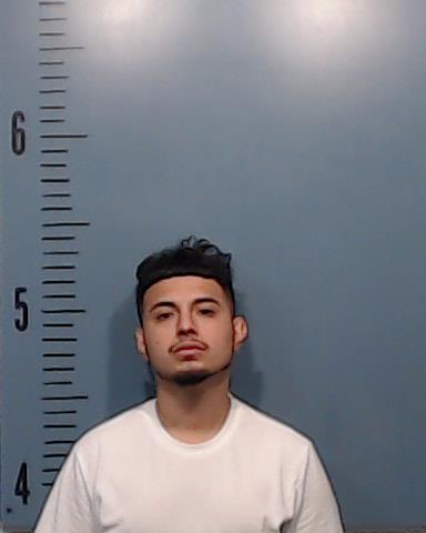 Cedillo, Ryan Scott booking photo