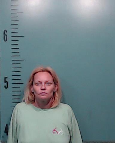 Hollis, Rhonda Ann booking photo