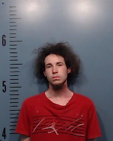 Hadley, Jimmy Wayne, Jr. arrested by Taylor County SO/PD