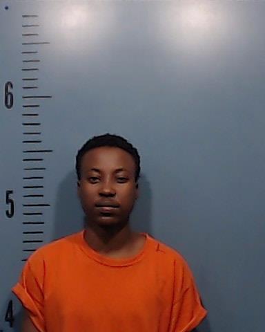 Nsabimana, Melisera booking photo