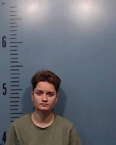 Lane, Kristina Kathleen booking photo