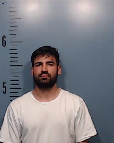 Nicolae, Alin booking photo