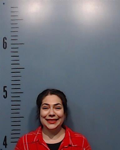 Swenor, Larissa Ann booking photo