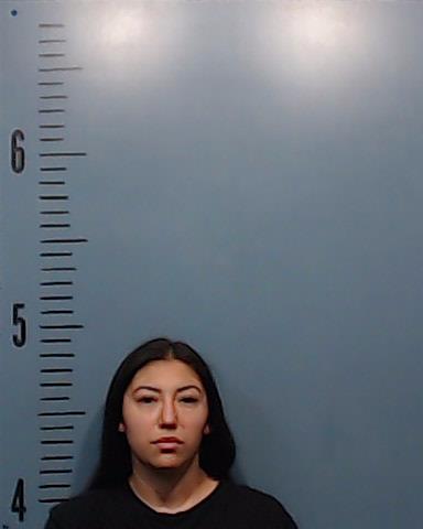 Solis, ROSALEIGH arrested by Taylor County SO/PD