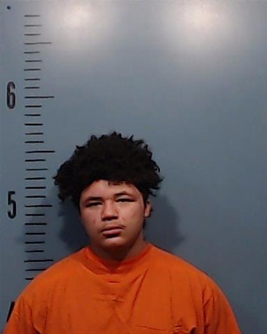 McAdams, Colson Jay arrested by Taylor County SO/PD