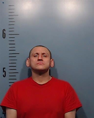 Burrows, Gabriel Paul arrested by Taylor County SO/PD