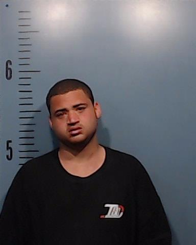 Davis, Brenton arrested by Taylor County SO/PD
