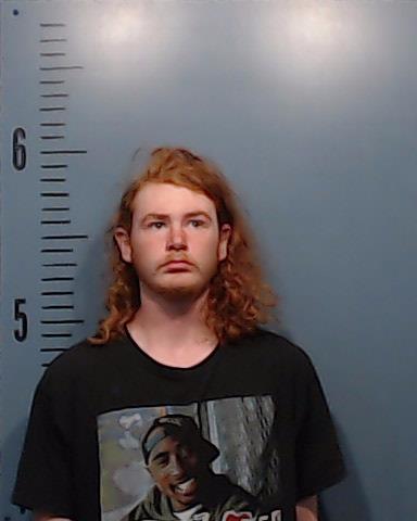 Beatty, Shawn Edward Lee arrested by Taylor County SO/PD