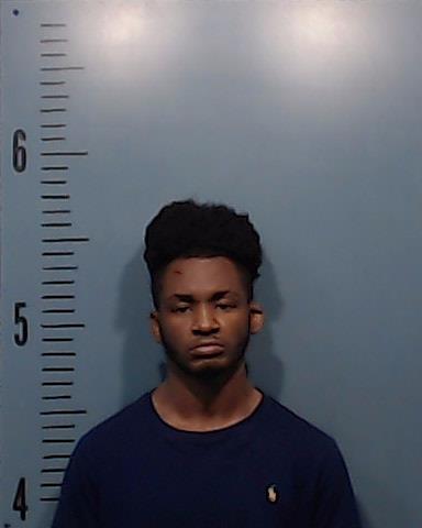 Gonzalez, Tryanthony Lamark arrested by Taylor County SO/PD