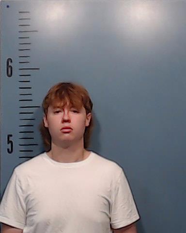 MASSEY, SAMUEL LEE arrested by Taylor County SO/PD