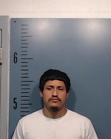 Torres, Anthony Ray arrested by Taylor County SO/PD