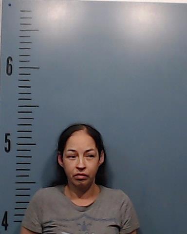 Gonzales, Jessica Rose arrested by Taylor County SO/PD