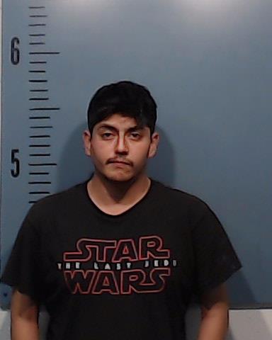Ramirez, Adam Desman arrested by Taylor County SO/PD