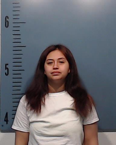 Torres, Bianey Santana arrested by Taylor County SO/PD