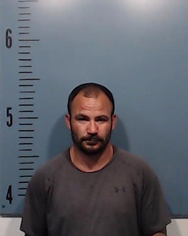 Dreadin, Raymond Lee booking photo