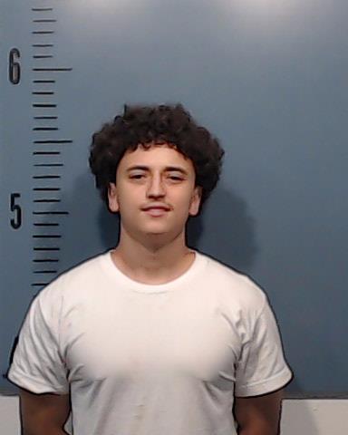 Davis, Landon Tyler booking photo